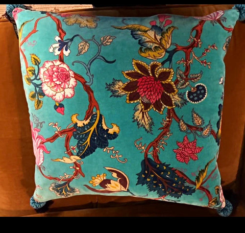 Paoletti velvet cushion with